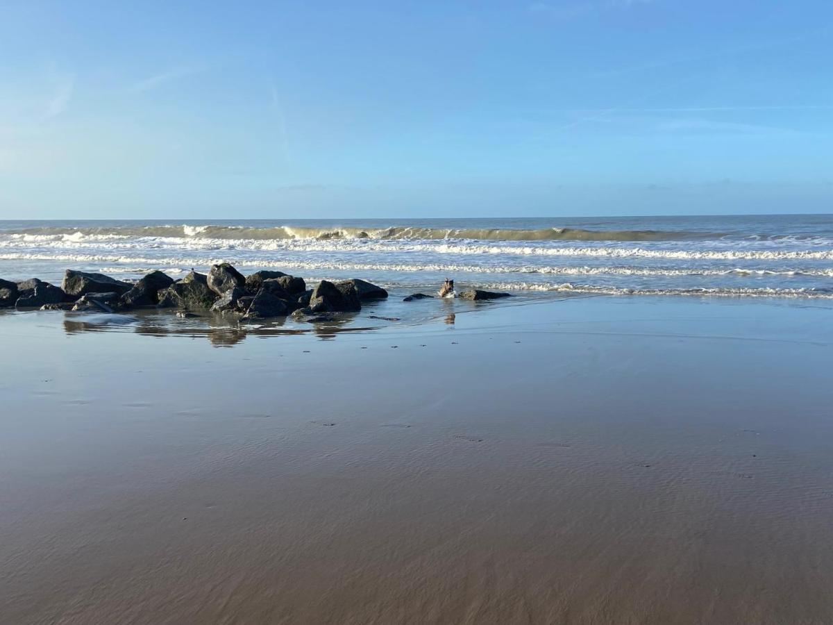 Ruim Zonnig Appartement Op 50M Van Strand Ostend Exterior photo